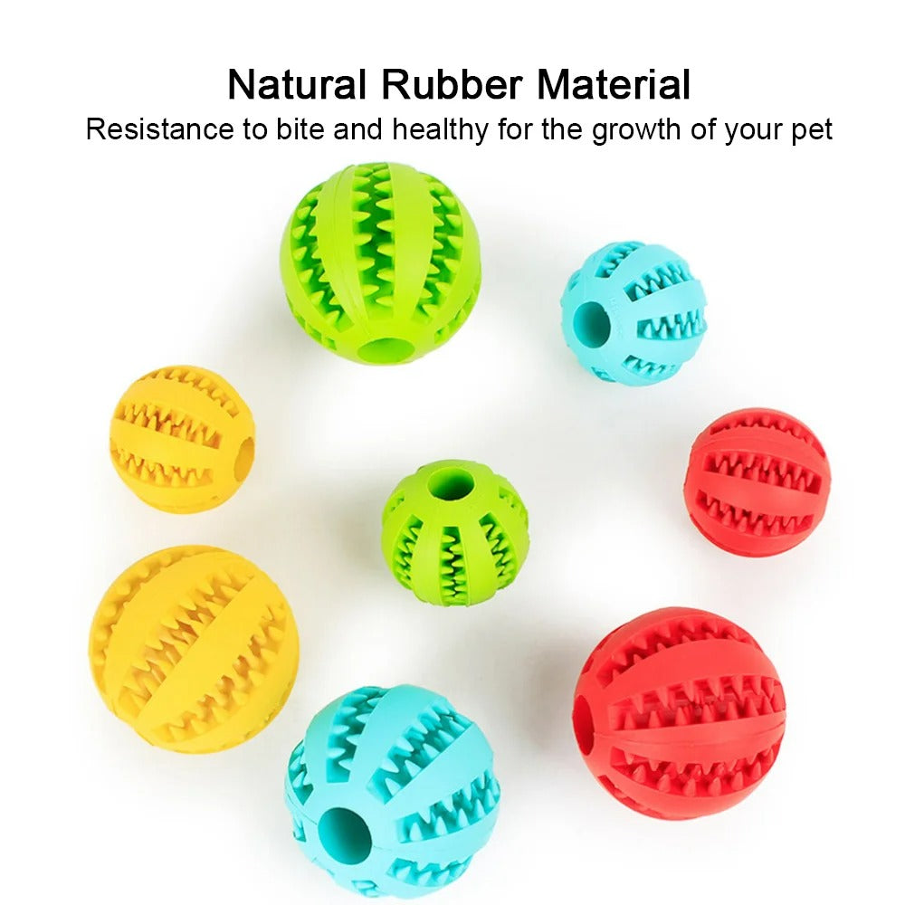 the Rubber Watermelon Ball - the ultimate pet accessory for teeth cleaning and playtime fun